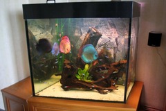 Killikus&reg; Fotographie